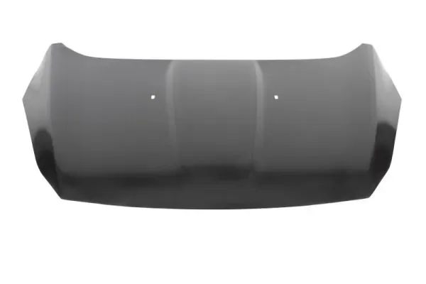 Капот 2830281 FPS