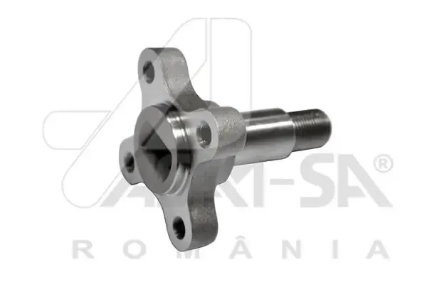 Поворотный кулак задний 32035 Asam