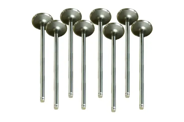 Купить Выпускной клапан Рено Клио III BR01, CR01