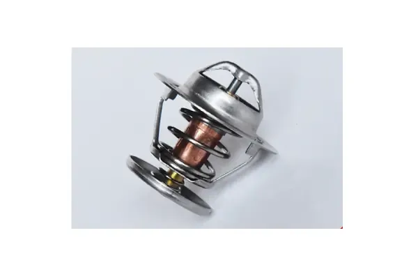 Термостат 73400 Asam