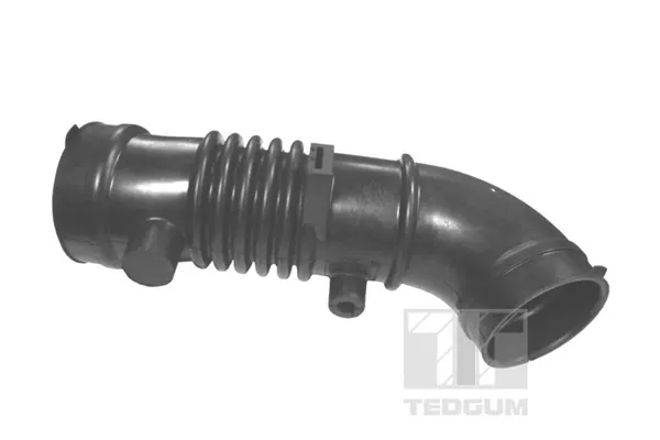  00392517 Ted-gum