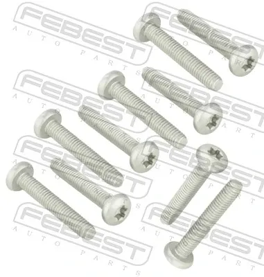 Болт клапанной крышки ГБЦ 2398002PCS10 Febest