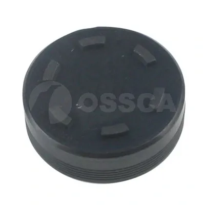 Заглушка ГБЦ 17880 Ossca