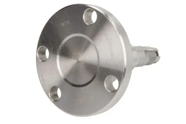 H5W004BTA BTA Цапфа задняя