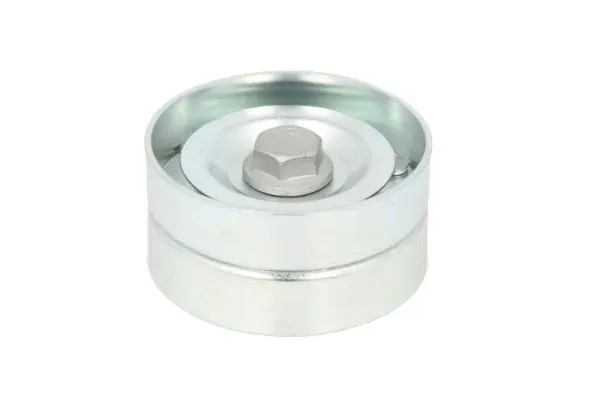Паразитный ролик B0502052 BTA