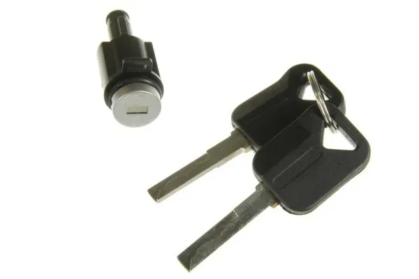 Личинка замка двери передней DPVO130 Daniparts