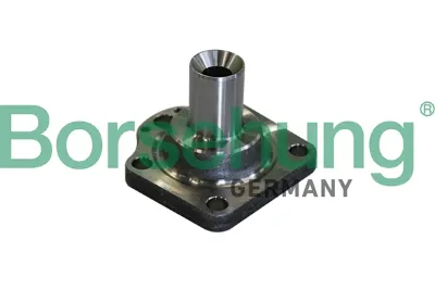 Цапфа (поворотный кулак) задний BORSEHUNG B11291