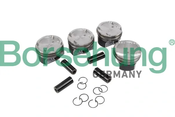  B11134 Borsehung