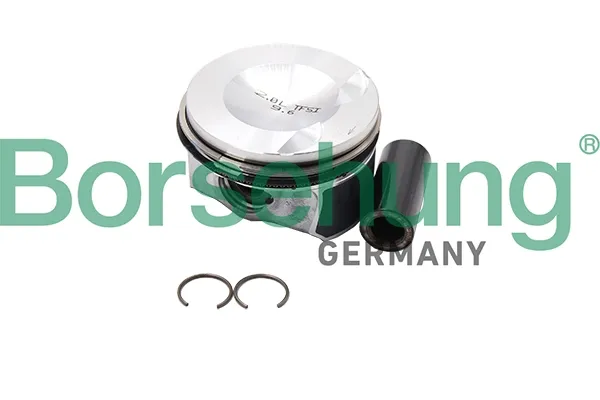  B18993 Borsehung