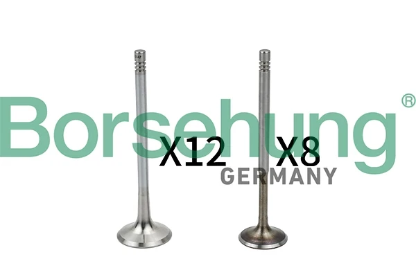 Впускной клапан B18635 Borsehung