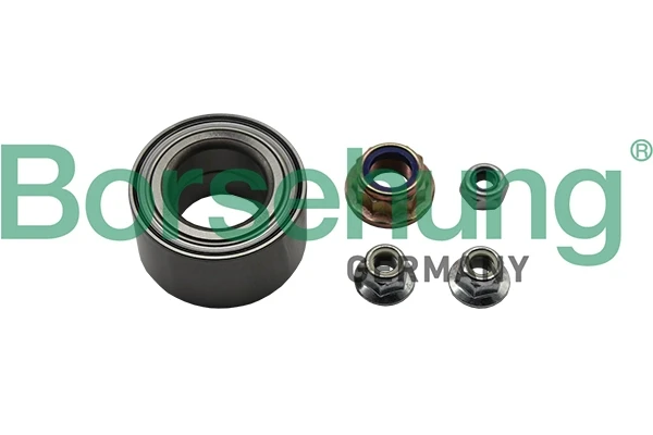 Подшипник ступицы B15959 Borsehung