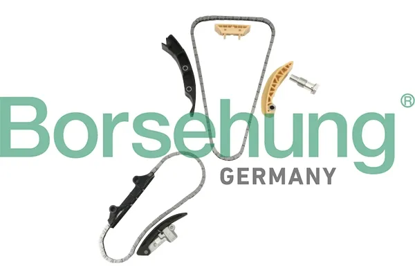 Комплект цепи ГРМ B10207 Borsehung
