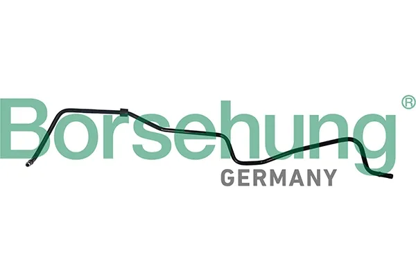  B19264 Borsehung