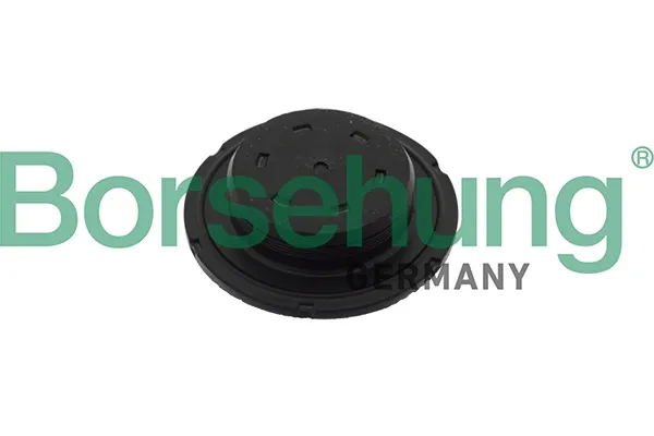 Заглушка ГБЦ B10644 Borsehung