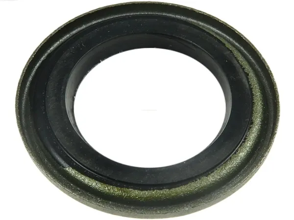  SRS5013 As-pl