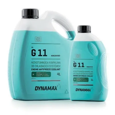  500109 Dynamax