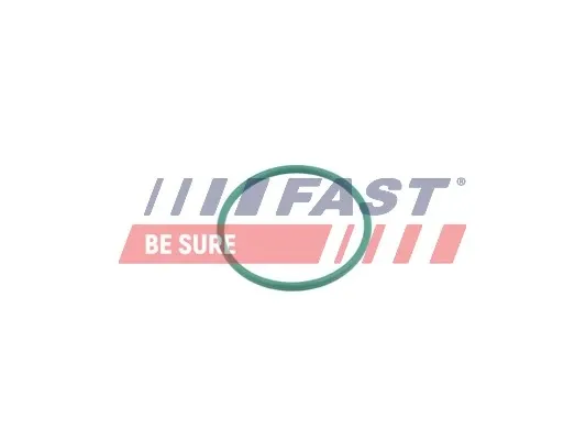 Кольцо патрубка турбины, нагнетаемого воздуха FT49921 Fast