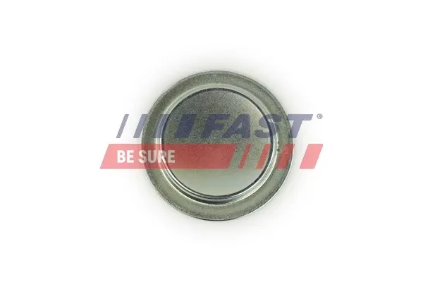 Заглушка ГБЦ FT49308 Fast