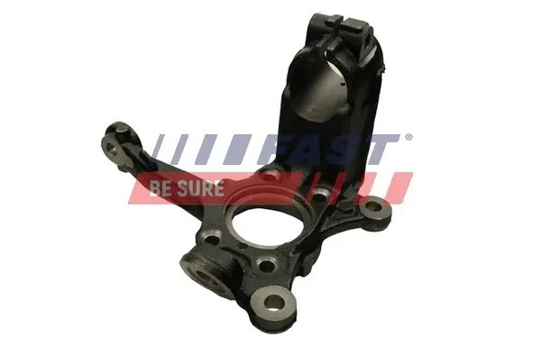 Цапфа передняя левая FT13562 Fast