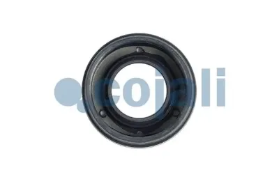 Ремкомплект модулятора EBS COJALI 6002263