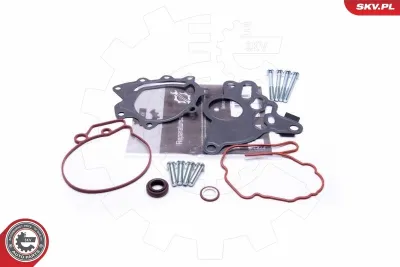 Тандемный топливный насос SKV 18SKV804