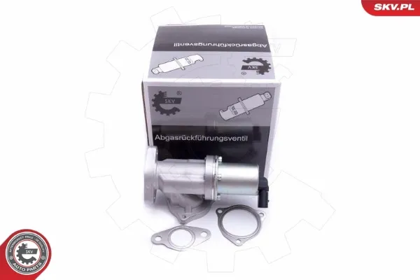 Клапан ЕГР 14SKV209 SKV