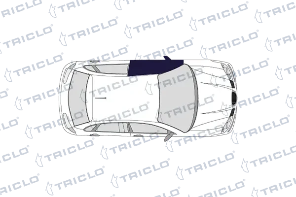Стеклоподъемник передней левой двери 103840 Triclo