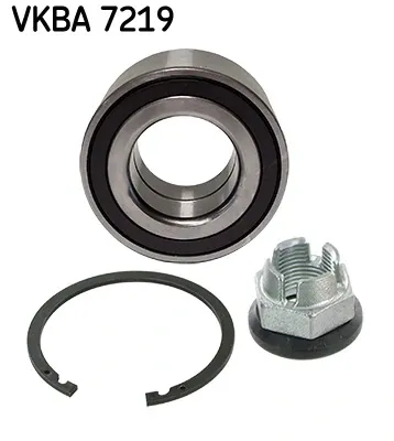  402100187R Renault (RVI)