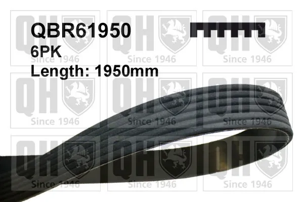 Ремень генератора QBR61950 QUINTON HAZELL