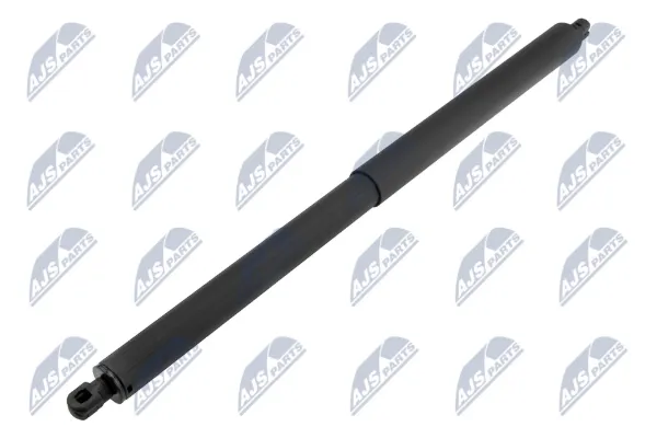 Амортизатор багажника AECH059 NTY