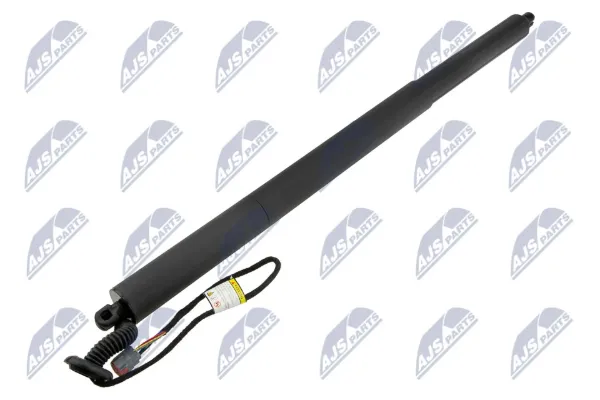Амортизатор багажника AEFR073 NTY