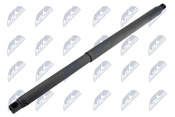 Амортизатор багажника AECH054 NTY