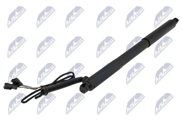 Амортизатор багажника AEBM072 NTY