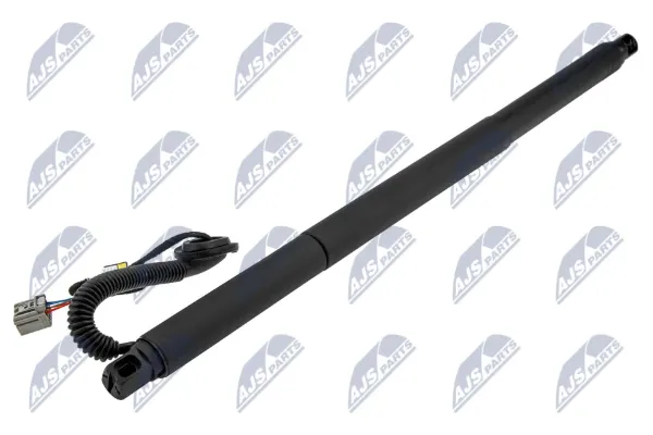 Амортизатор багажника AECH047 NTY