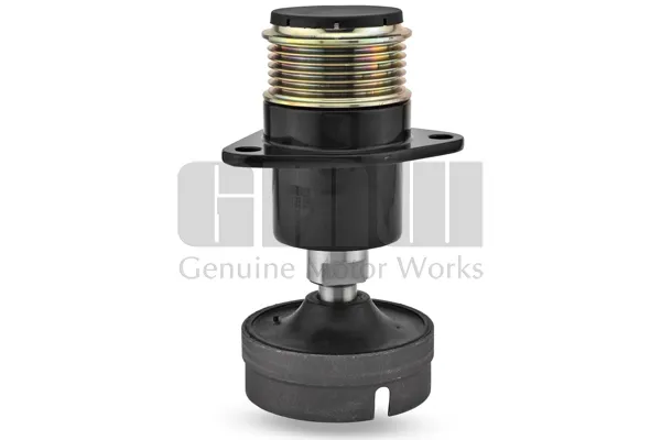 Шкив генератора GT10310 GMW
