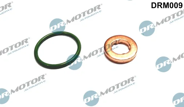 Ремкомплект форсунок DRM009 Dr.motor