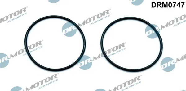 Прокладка вакуумного насоса DRM0747 Dr.motor