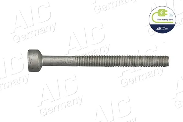 Болт крепления форсунки 57984 AIC