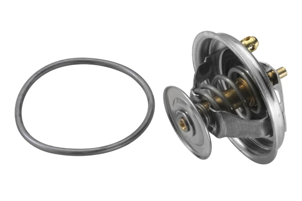 Термостат BORG-WARNER 412380D
