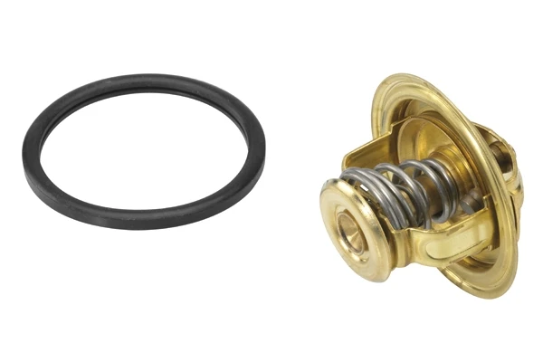 Термостат BORG-WARNER 400879D
