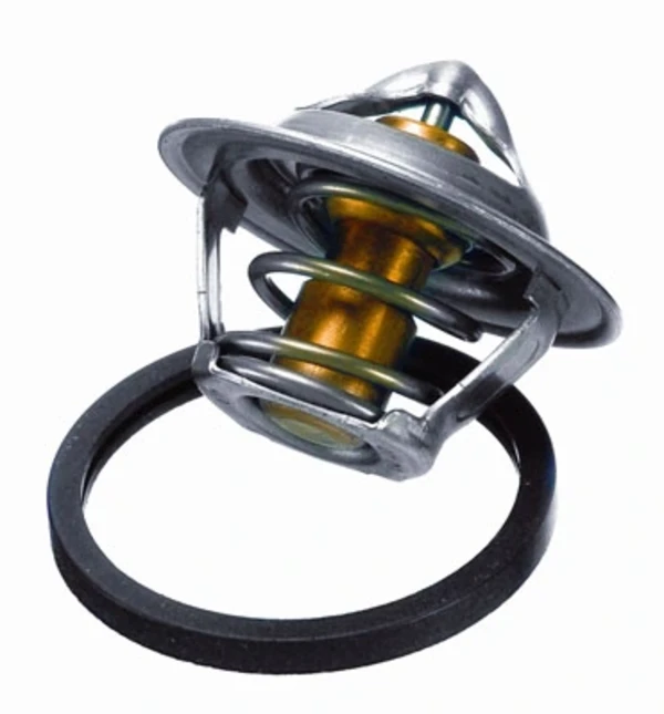 Термостат BORG-WARNER 301787D2