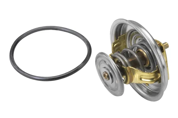 Термостат 427492D Borg-Warner