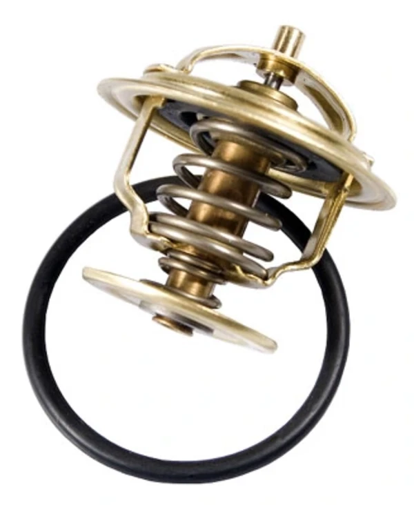 Термостат BORG-WARNER 425387D