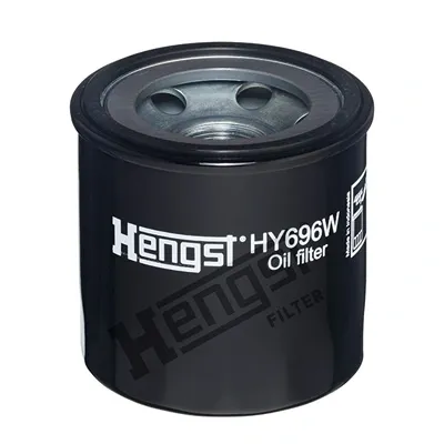  HY696W Hengst