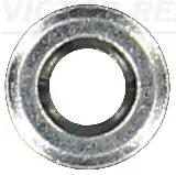 Кольцо форсунки 701673600 Victor Reinz