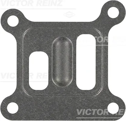 Прокладка водяной помпы 703603800 Victor Reinz