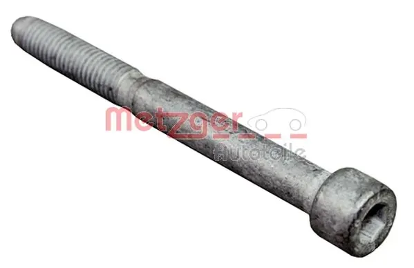 Болт крепления форсунки 0870135S Metzger
