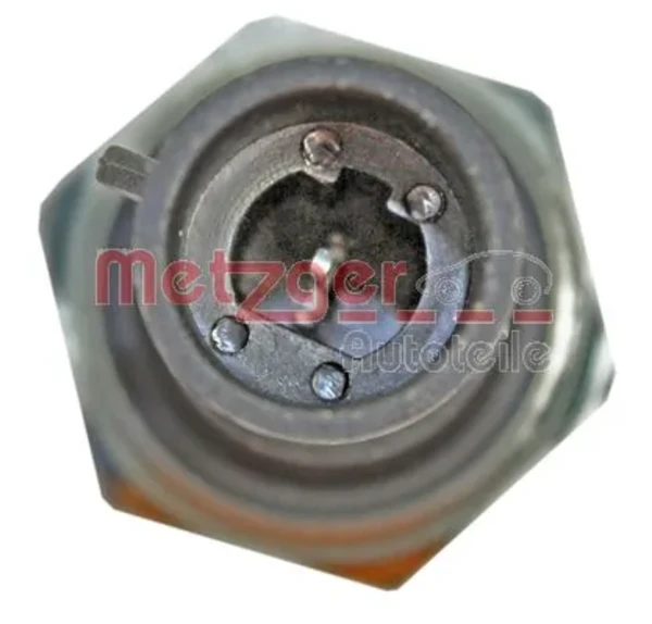 0910095 Metzger