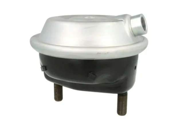 Камера тормозная (энергоаккумулятор) K002843N00 Knorr-bremse