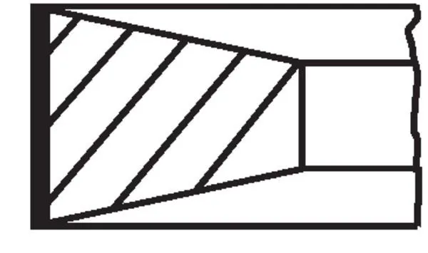  213RS101020V0 Mahle Original